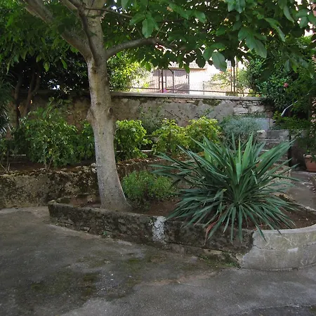 Ilona Guest house 3*